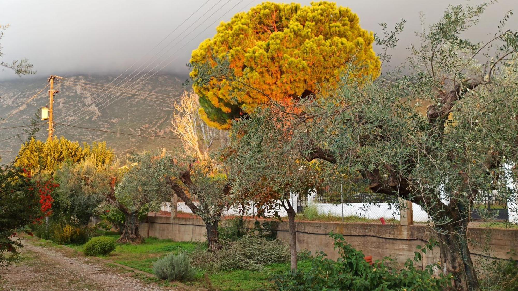 Nafpaktos Cottage By The Sea For Travelers And Dreamers! Exterior foto