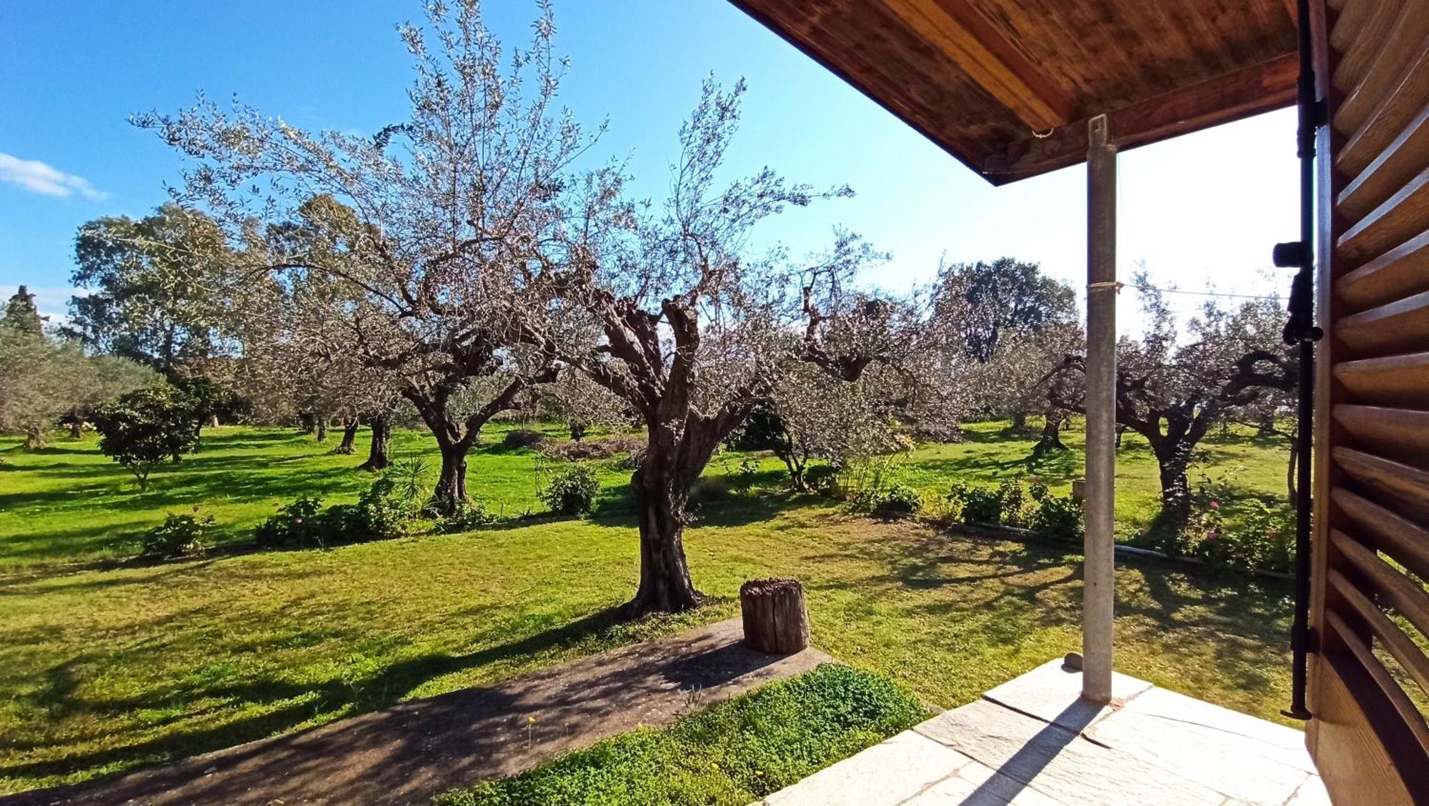 Nafpaktos Cottage By The Sea For Travelers And Dreamers! Exterior foto